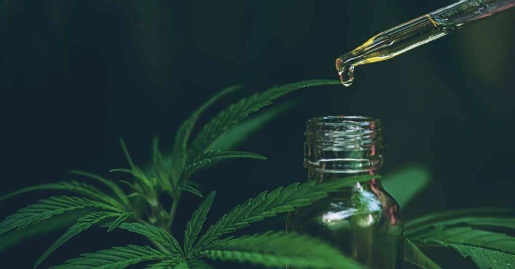 מיתוסים על CBD מה נכון ומה לא