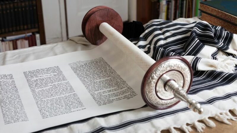 פרשת השבוע